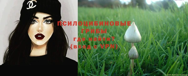 мяу мяу мука Абинск