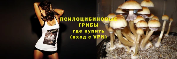 мяу мяу мука Абинск