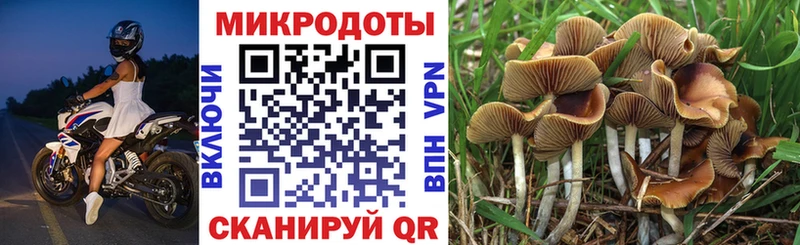 Галлюциногенные грибы Magic Shrooms  как найти закладки  Холмск 